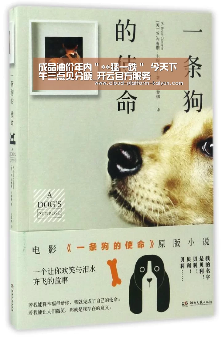 成品油价年内"**猛一跌" 今天下午三点见分晓_开云官方服务(图3) 开云官网