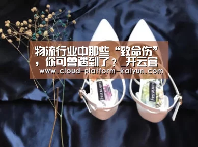 物流行业中那些“致命伤”,你可曾遇到了?_开云官方服务(图2) 开云官网