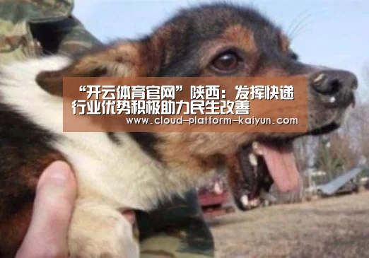 “开云体育官网”陕西:发挥快递行业优势积极助力民生改善(图1) 开云官网