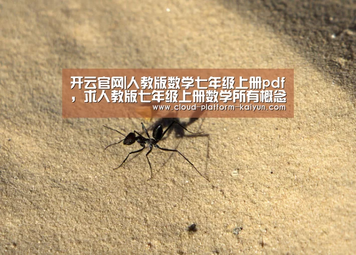 开云官网|人教版数学七年级上册pdf,求人教版七年级上册数学所有概念(图2) 开云官方服务